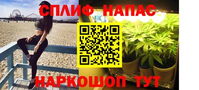 стаф Лесосибирск