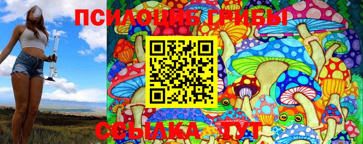 хочу наркоту  Галлюциногенные грибы Magic Shrooms  Звенигород  Вход с VPN  Галлюциногенные грибы Psilocybe 