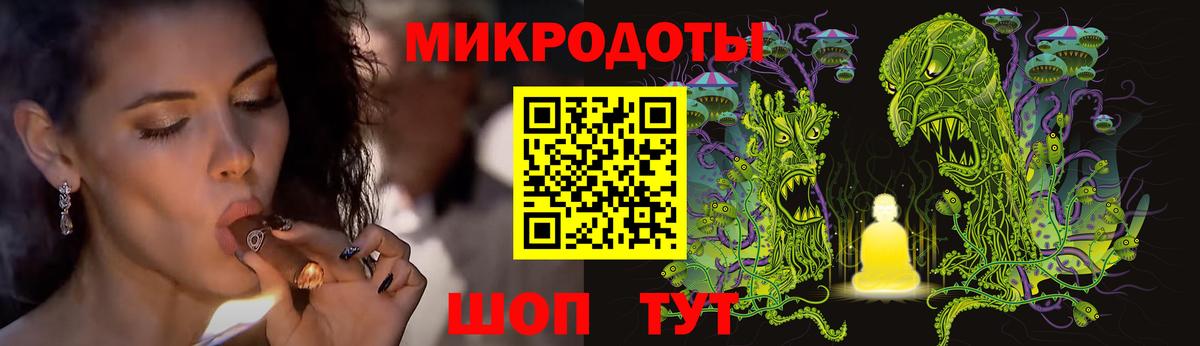 Псилоцибиновые грибы мицелий Звенигород